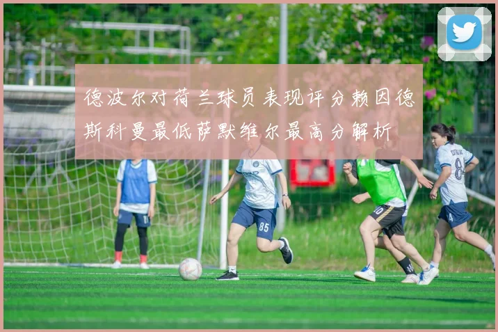 德波尔对荷兰球员表现评分赖因德斯科曼最低萨默维尔最高分解析