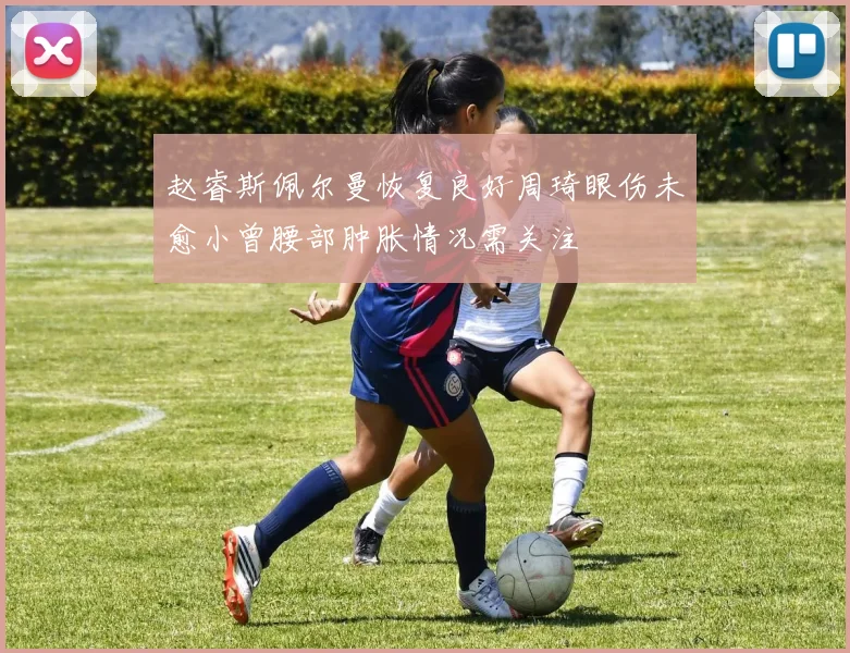 赵睿斯佩尔曼恢复良好周琦眼伤未愈小曾腰部肿胀情况需关注