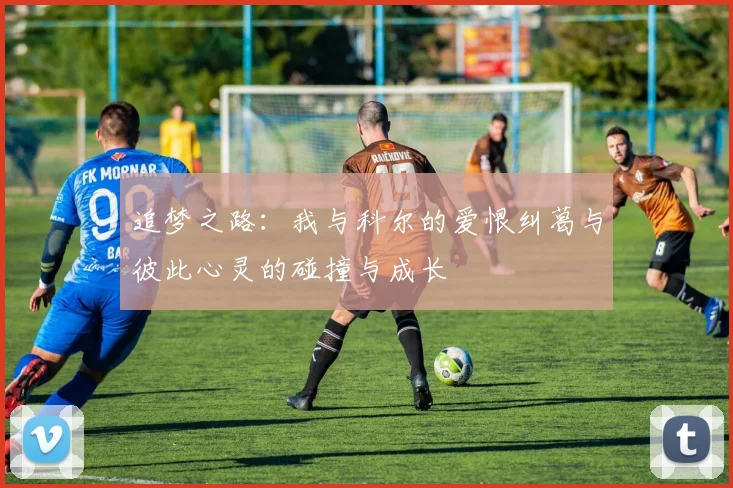 追梦之路：我与科尔的爱恨纠葛与彼此心灵的碰撞与成长