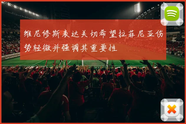 维尼修斯表达关切希望拉菲尼亚伤势轻微并强调其重要性