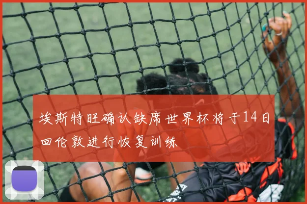埃斯特旺确认缺席世界杯将于14日回伦敦进行恢复训练