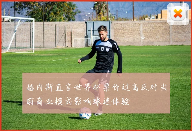 赫内斯直言世界杯票价过高反对当前商业模式影响球迷体验