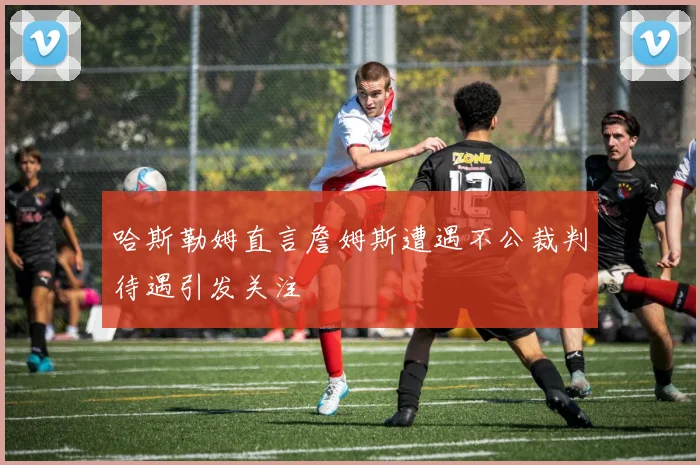 哈斯勒姆直言詹姆斯遭遇不公裁判待遇引发关注